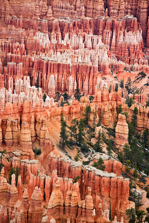 Bryce Point, Bryce Canyon NP, UT