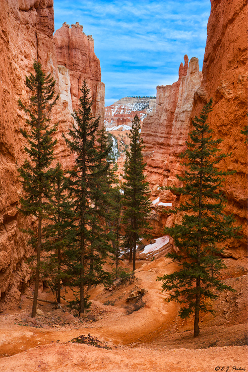 Navajo Trail, Bryce Canyon NP, UT