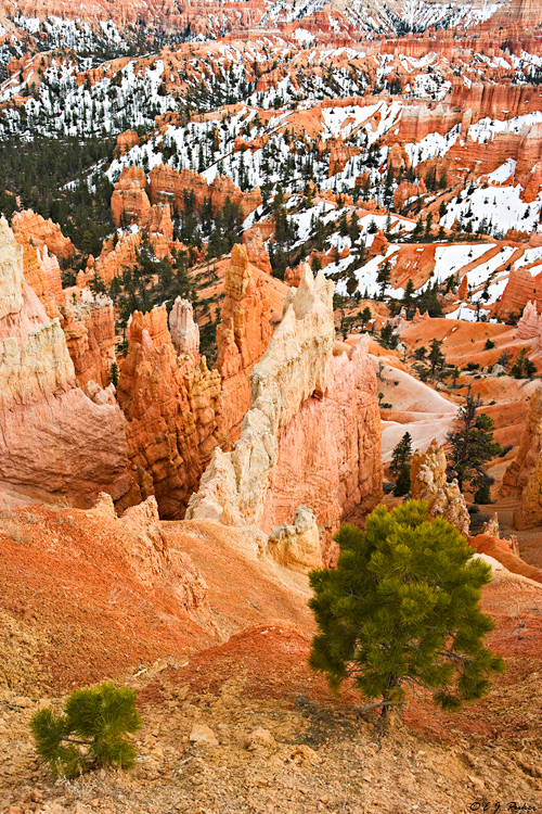 Sunset Point, Bryce Canyon NP, UT