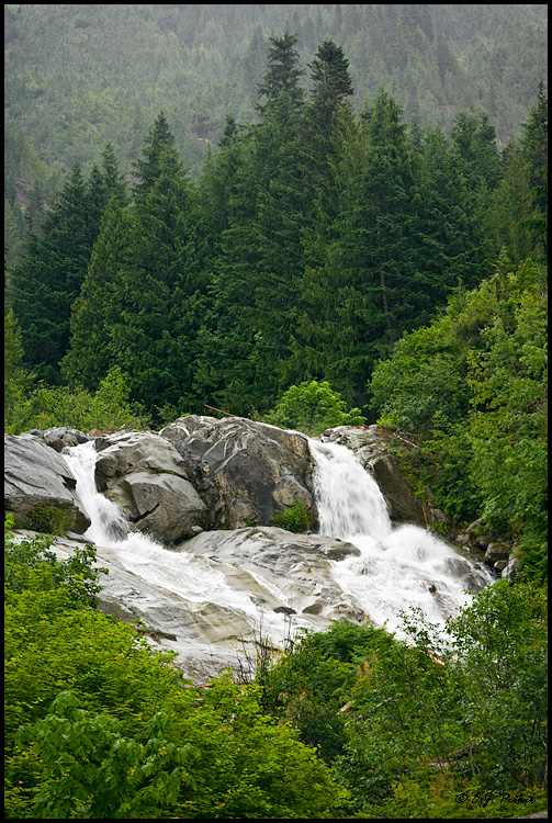 Cascade Creek, North Cascades National Park, WA