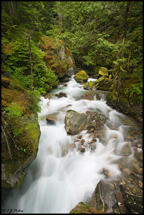 Ladder Creek, North Cascades National Park, WA