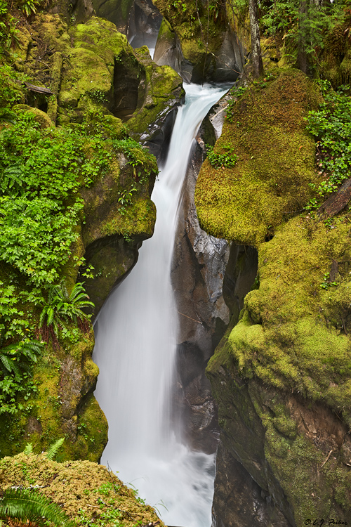Ladder Creek Falls, North Cascades National Park, WA