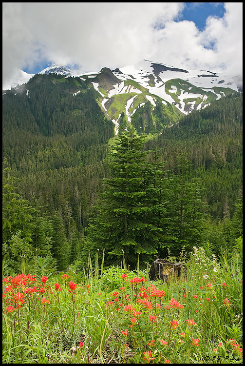 Mount Baker, North Cascades National Park, WA