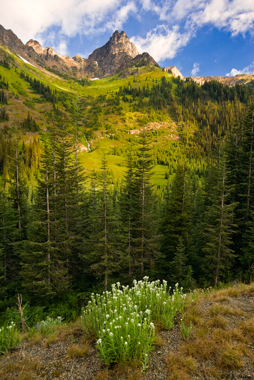 Tower Mountain, North Cascades National Park, WA