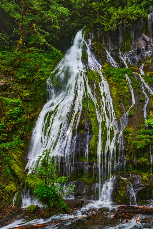 Panther Creek Falls, WA