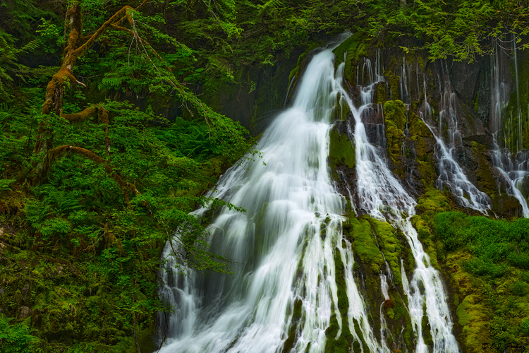 Panther Creek Falls, WA