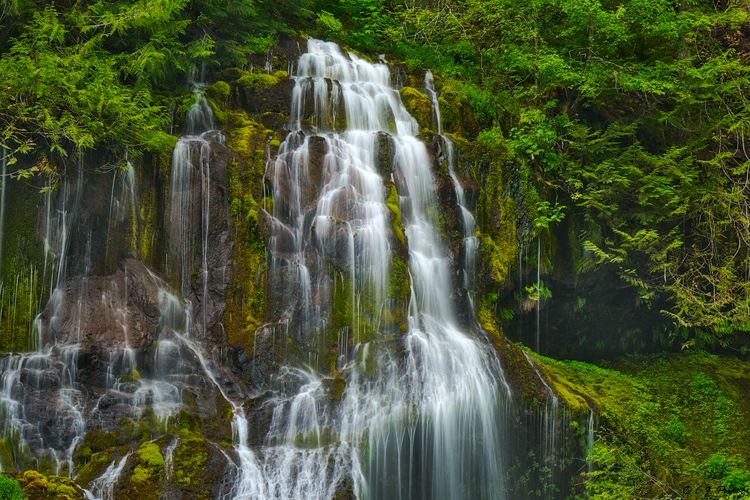 Panther Creek Falls, WA