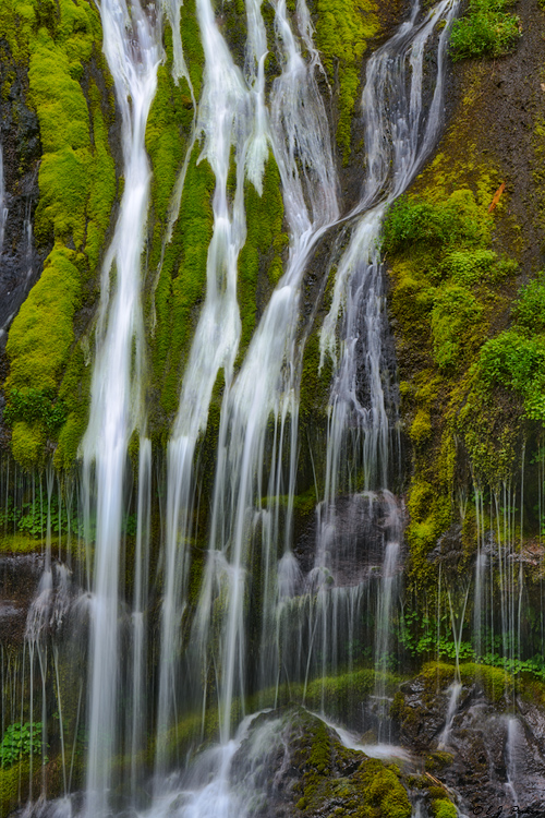 Panther Creek Falls, WA