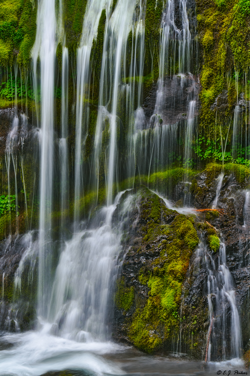 Panther Creek Falls, WA