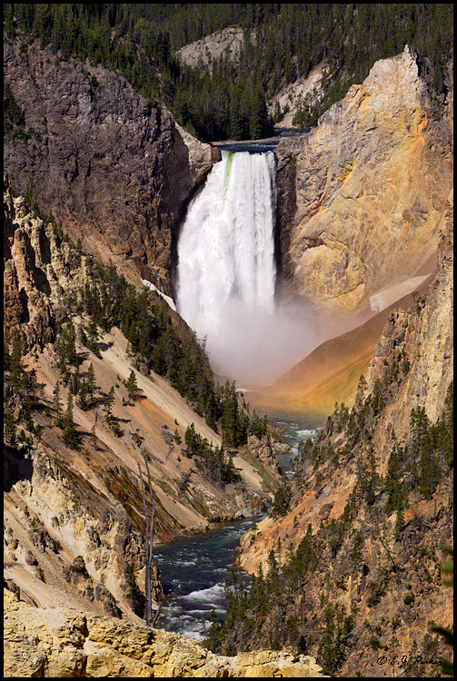 Lower Falls, Yellowstone NP, WY
