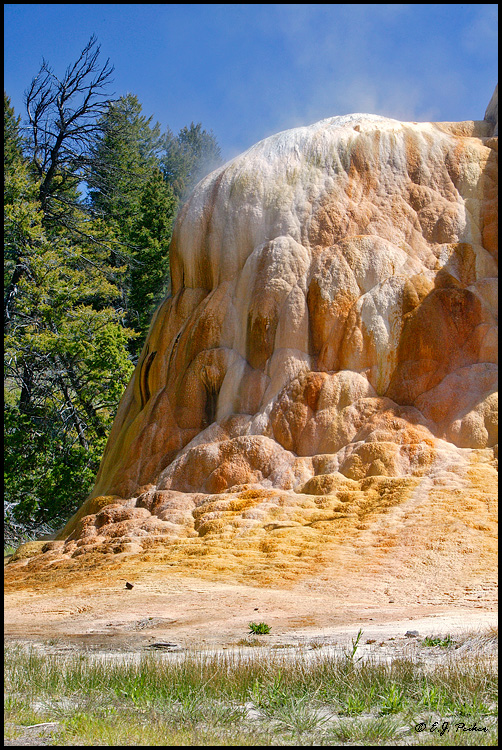 Orange Mound Spring, Yellowstone NP, WY