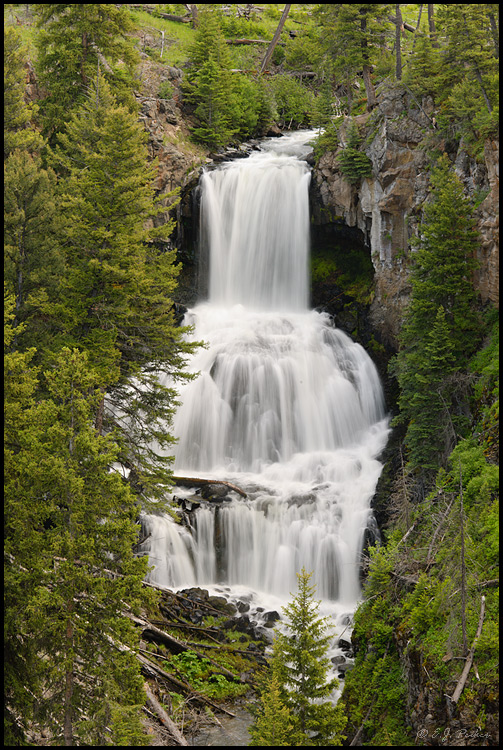 Undine Falls, Yellowstone NP, WY